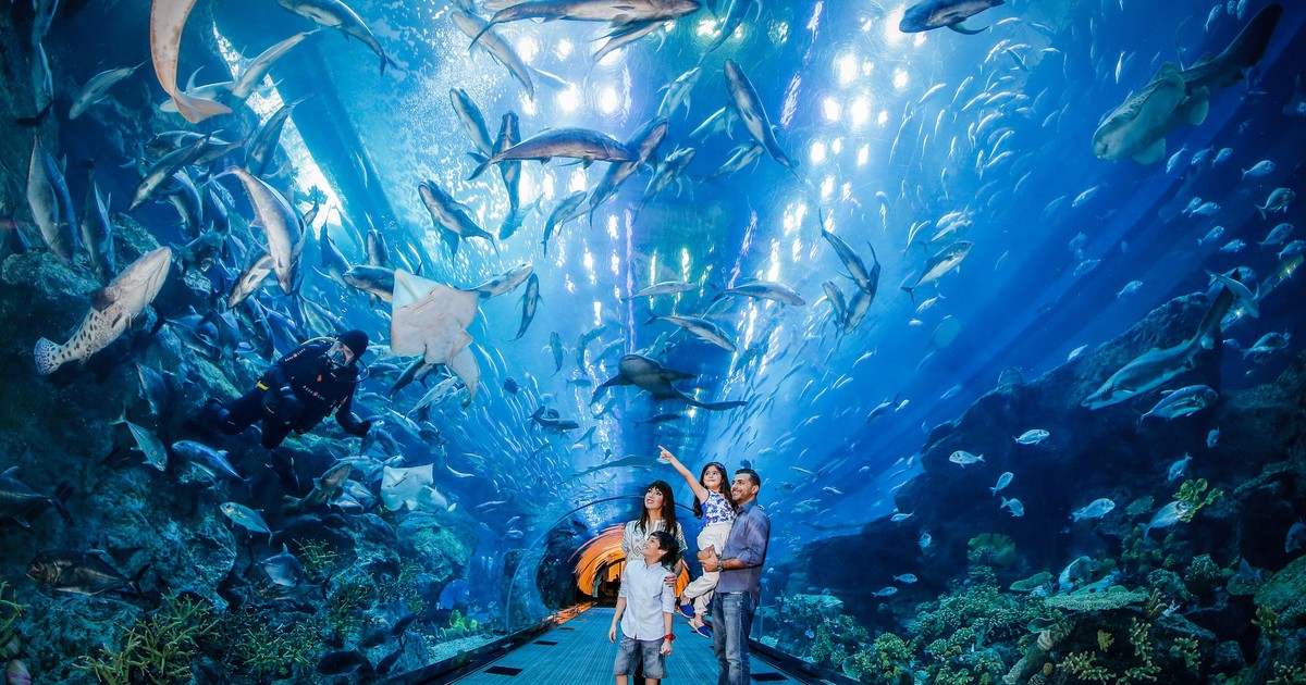 Dubai Aquarium, The Dubai Mall